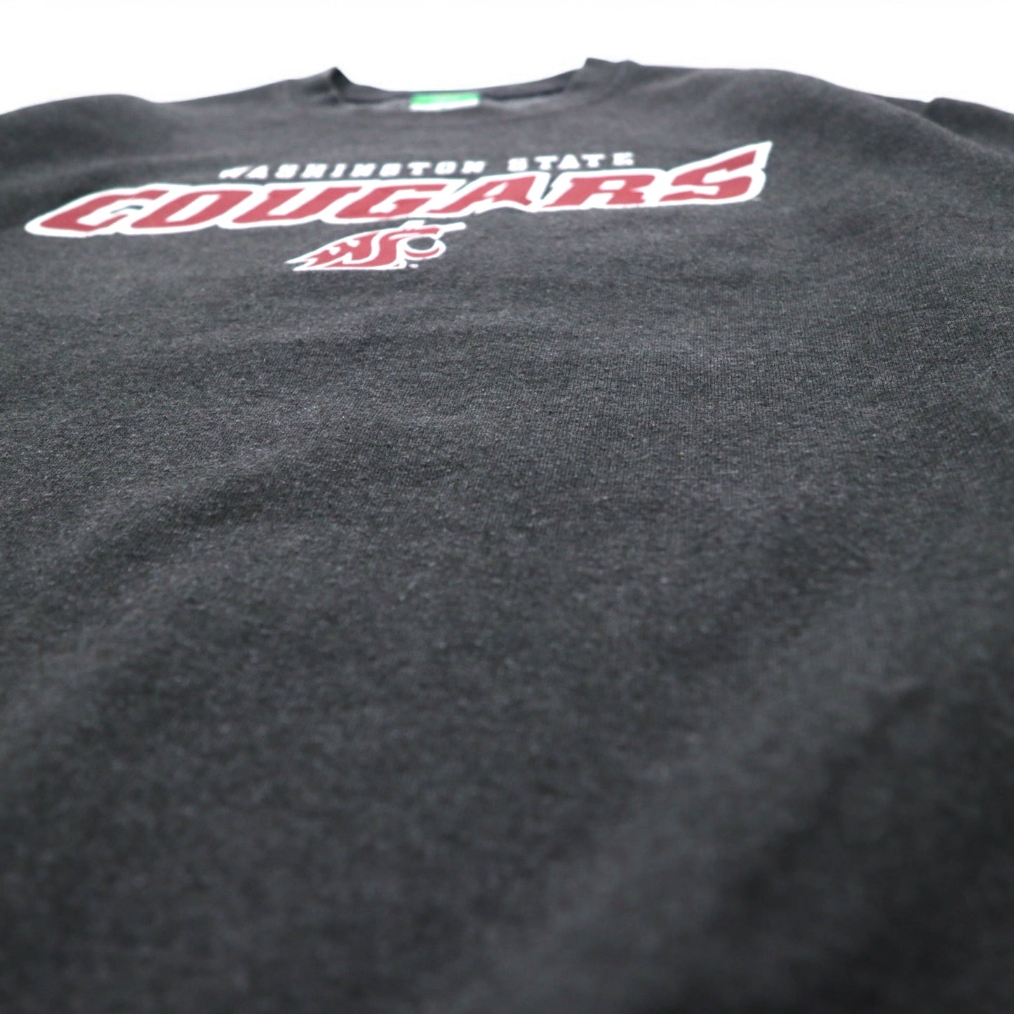 Champion ECO FLEECE カレッジプリント スウェット M グレー 裏起毛 NCAA WASHINGTON STATE COUGARS ホンジュラス製