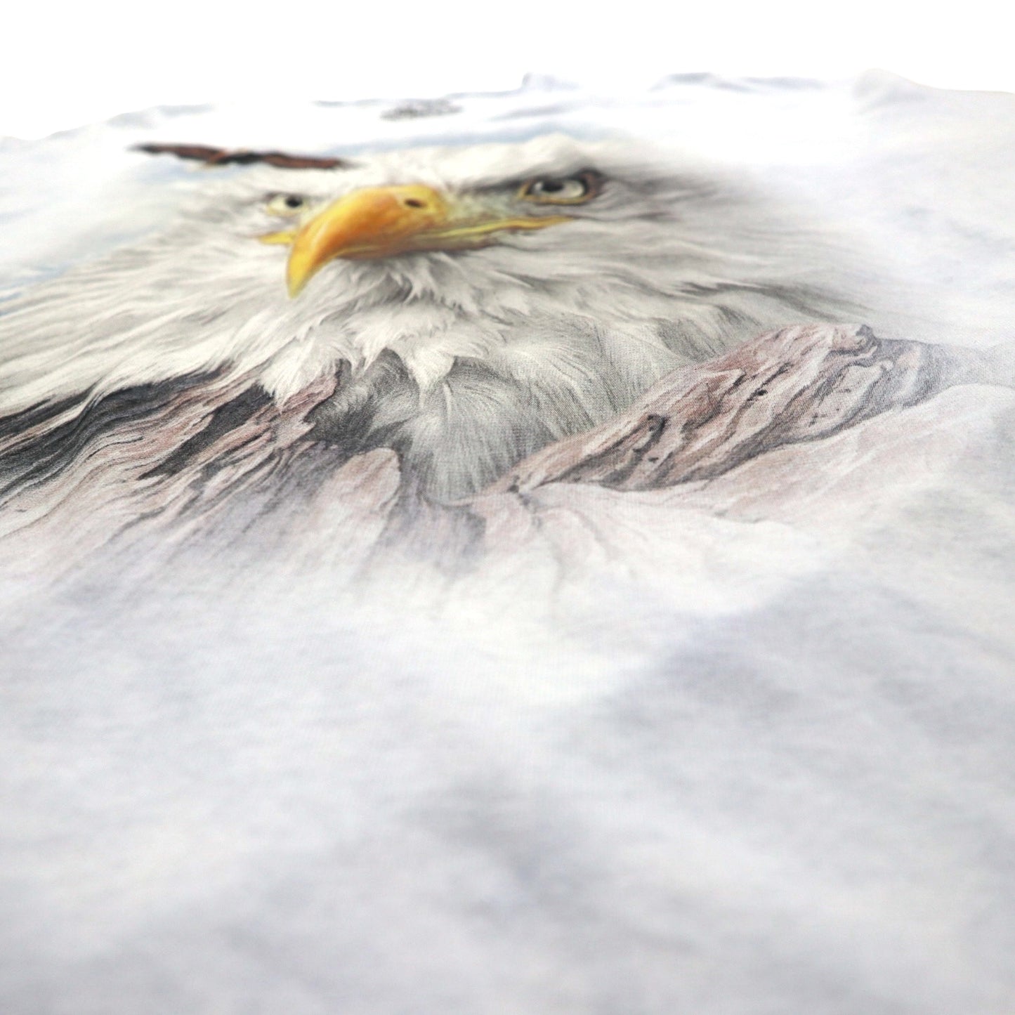 THE MOUNTAIN ビッグサイズ タイダイ Tシャツ 2XL ブルー プリント アニマル 鷲 イーグル メキシコ製