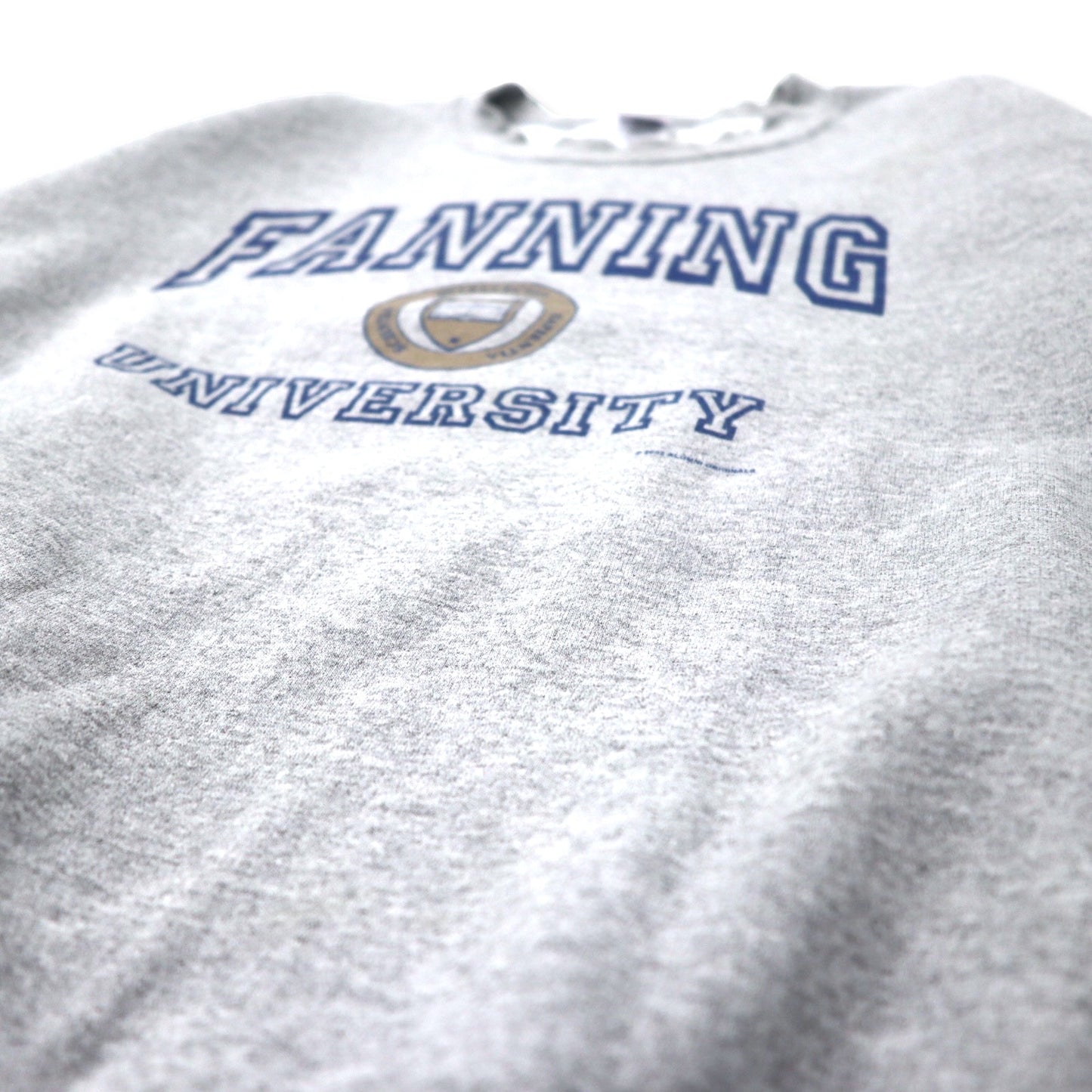 GILDAN 00年代 カレッジ プリント スウェット L グレー コットン 裏起毛 FANNING UNIVERSITY ビッグサイズ メキシコ製