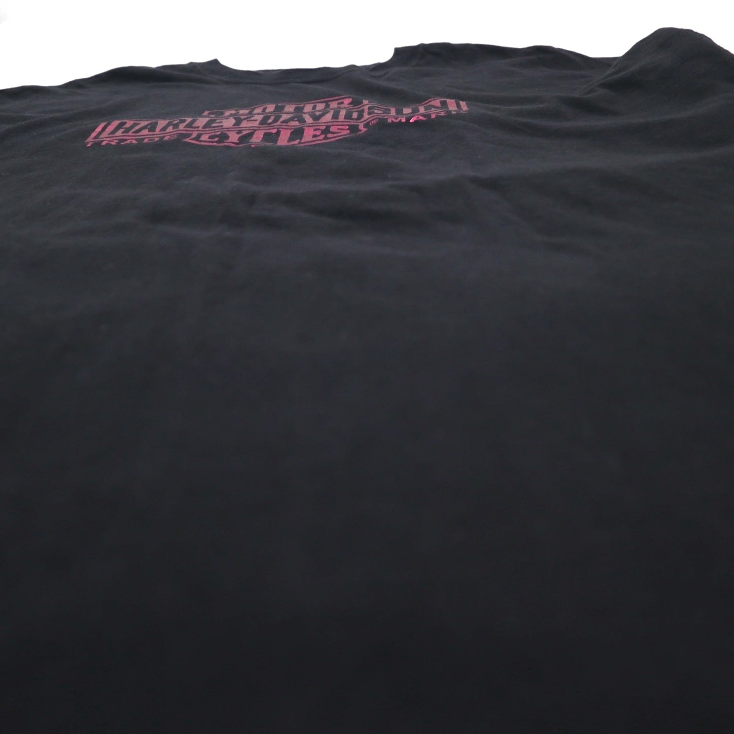 HARLEY DAVIDSON Double-sided Print Hanes BEEFY T-shirt 2XL Black Cotton