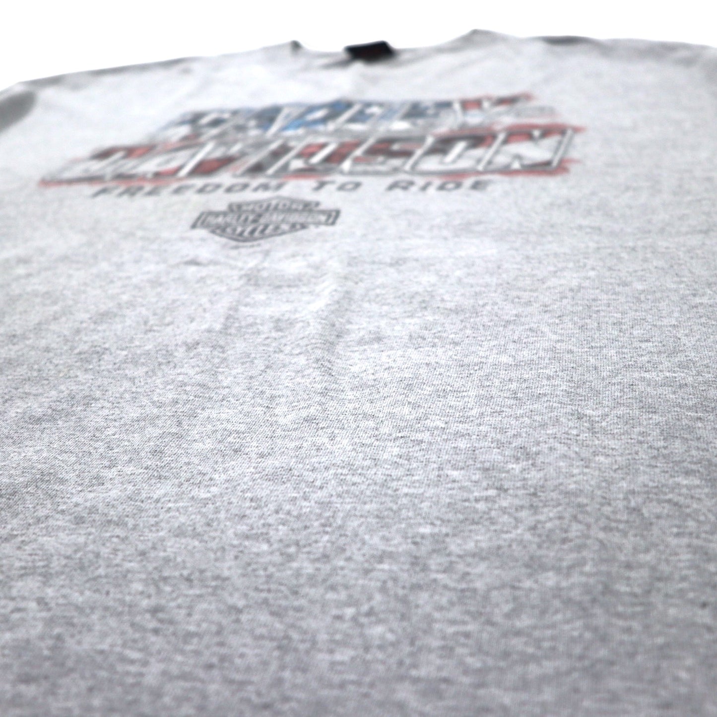 HARLEY DAVIDSON Made in USA Logo Print T-Shirt 2XL Grey Cotton LEESBURG-FLORIDA