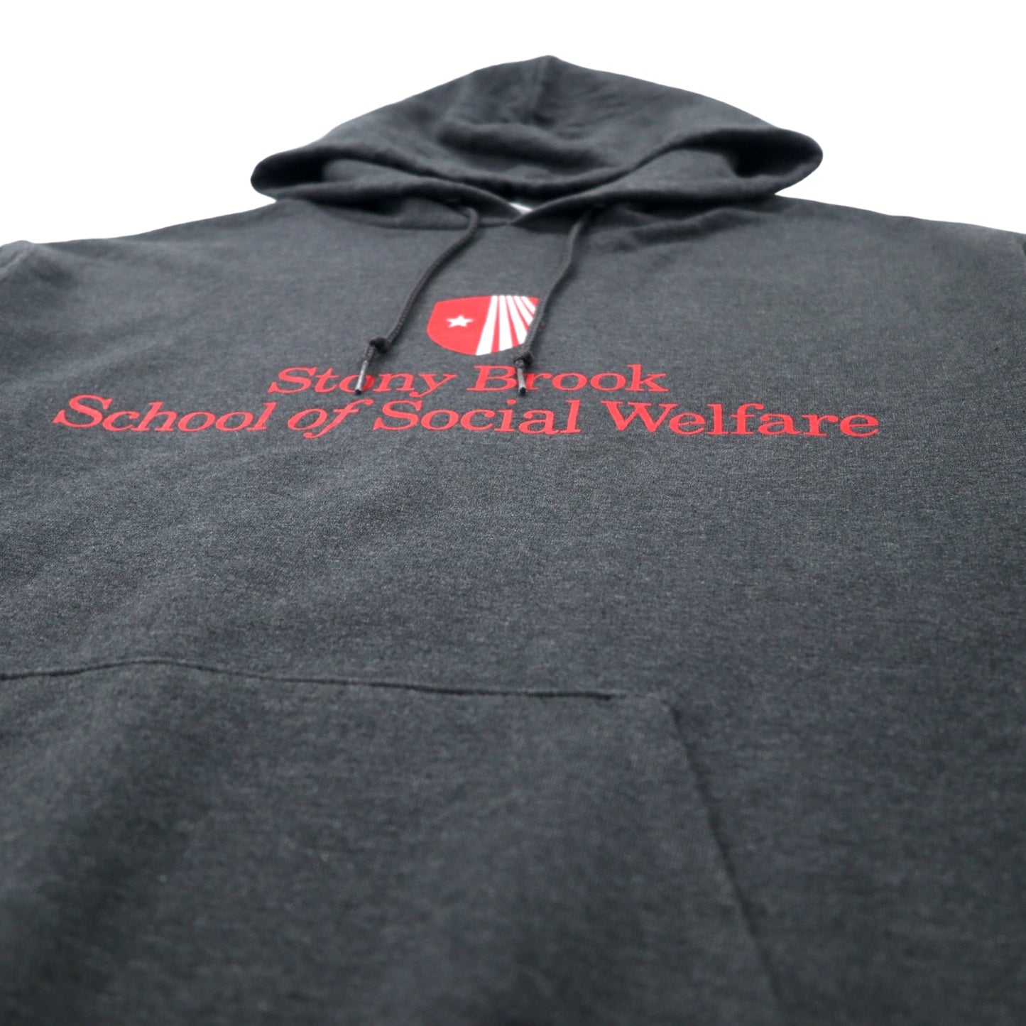 Champion ECO カレッジ プルオーバーパーカー L グレー コットン 裏起毛 Stony Brook School of Social Welfare ビッグサイズ