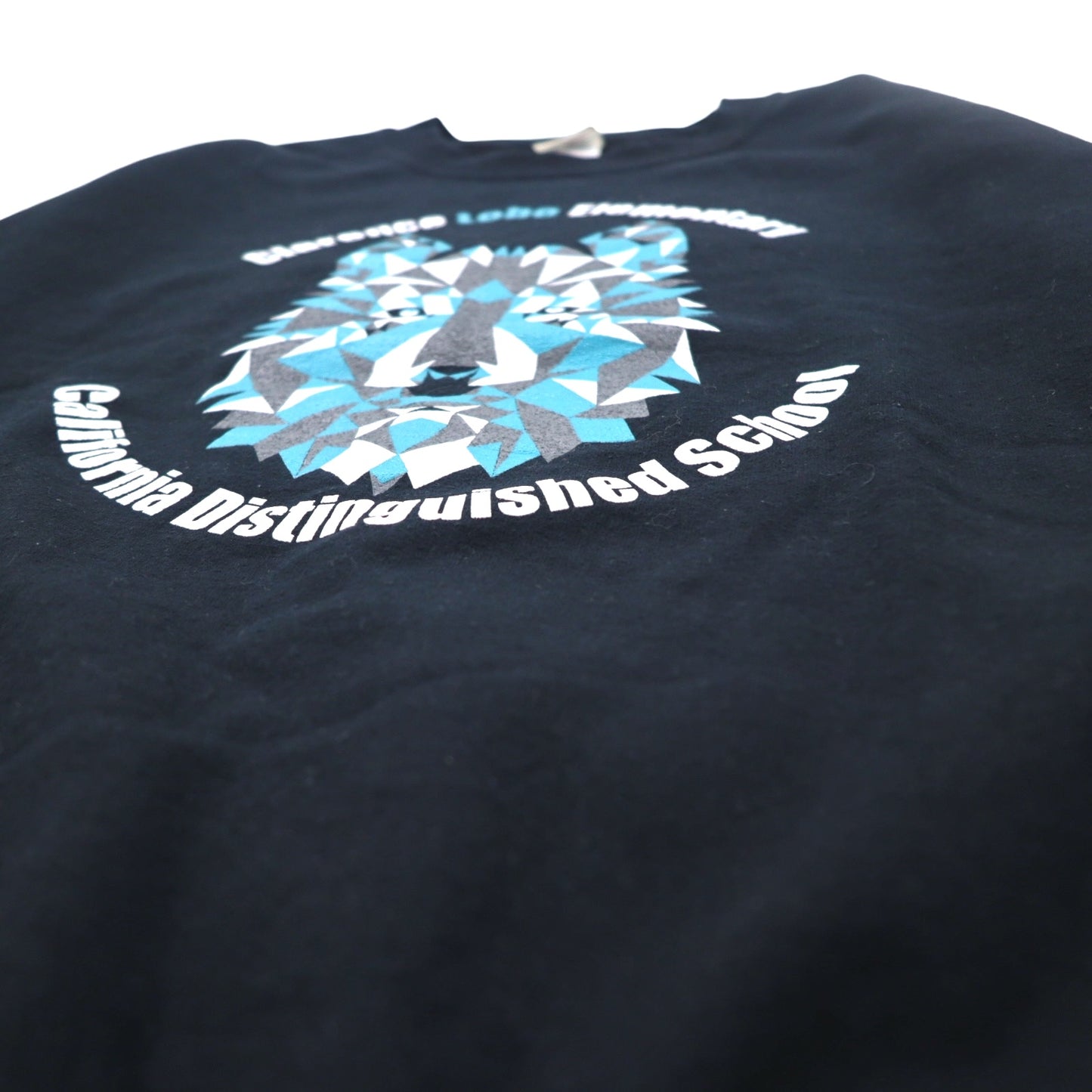 GILDAN クルーネック スウェット S ブラック 裏起毛 アニマル アート プリント Clarence Lobo Elementary