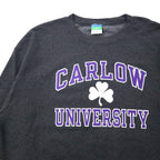 Champion ECO College Print Sweatshirt, XL, Grey, Cotton, Fleece Lining, CARLOW UNIVERSITY Arch Logo, 3 Tier, Made in Honduras