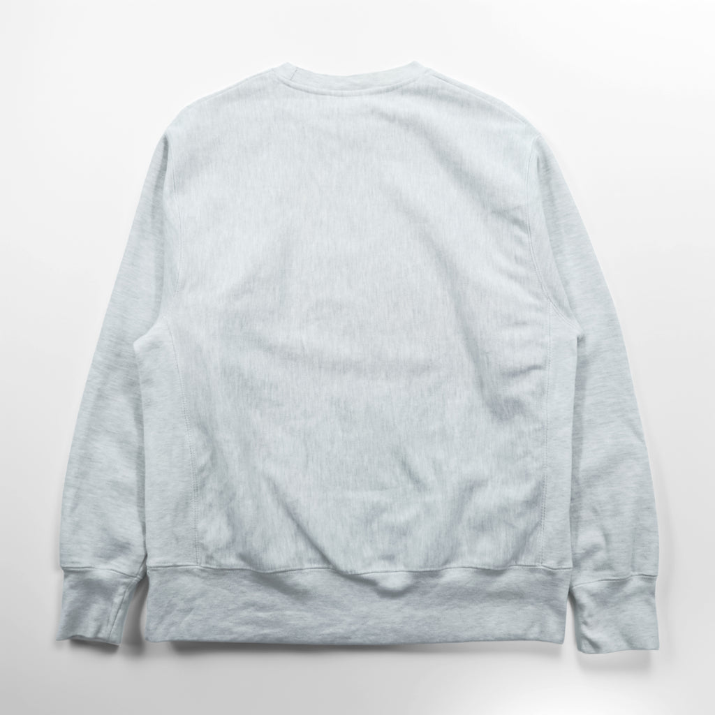 Champion Reverse Weave College Sweatshirt Sizes XL with Georgia Southwestern Arch Logo and Blue Single Tag