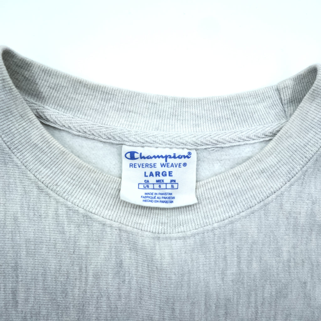 Champion Reverse Weave College Sweatshirt Sizes XL with Georgia Southwestern Arch Logo and Blue Single Tag
