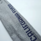BUZZ RICKSON'S ロンT 長袖Tシャツ M グレー 東洋エンタープライズ 袖ロゴ U.S.ARMY AIR FORCES 日本製