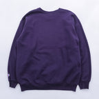 Champion 90s College Sweatshirt, Size M, Purple, Texas Women's University