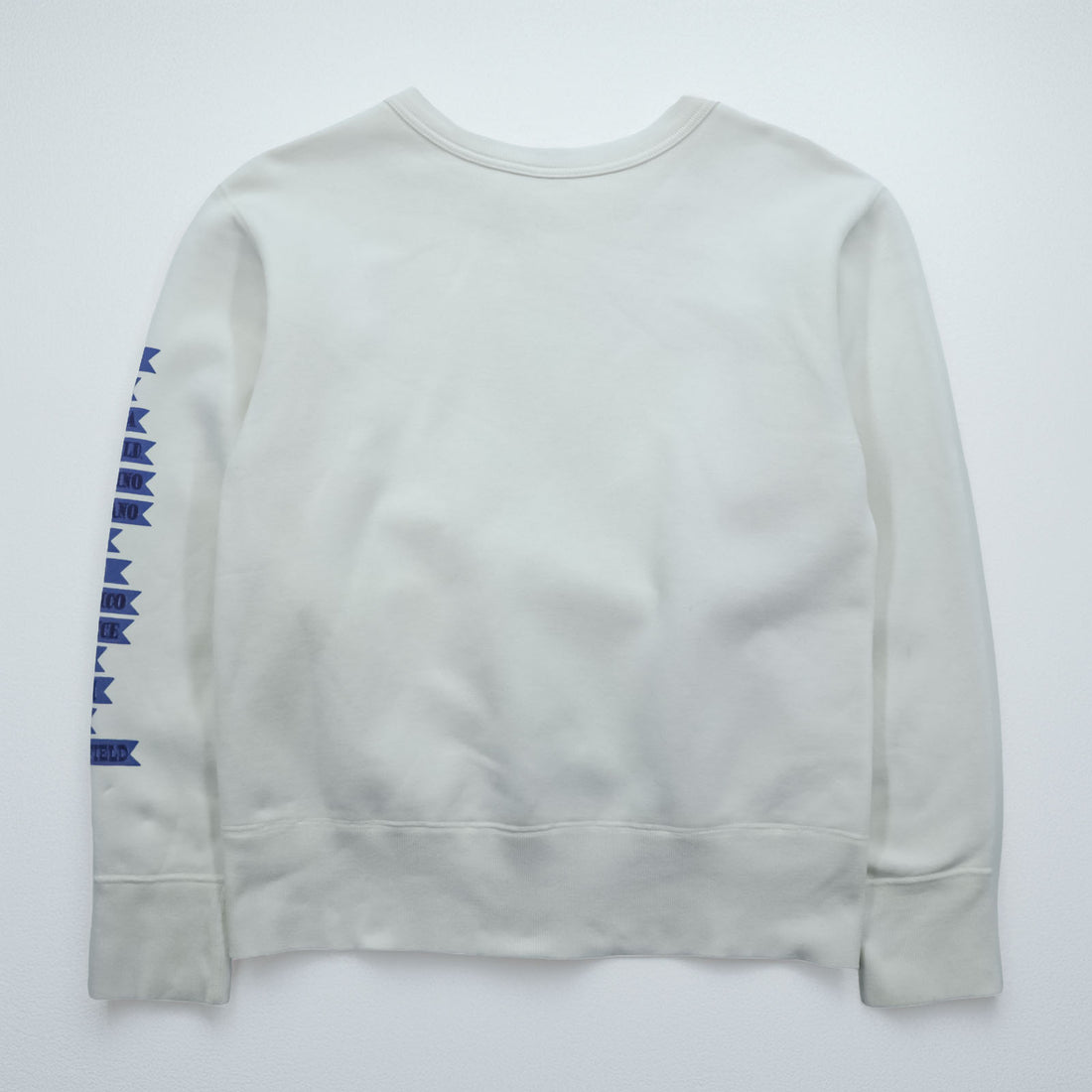 Buzz Rickson's Sweatshirt Flying Skull 85th Ftr Squadron Sleeve Print Men's M White Toyo Enterprise
