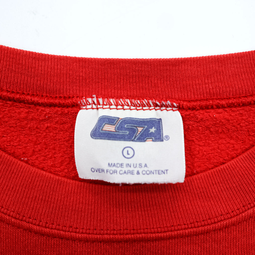 CSA 90年代 USA製 ヴィンテージ スウェット トレーナー L レッド コットン HOUSTON TEXANS