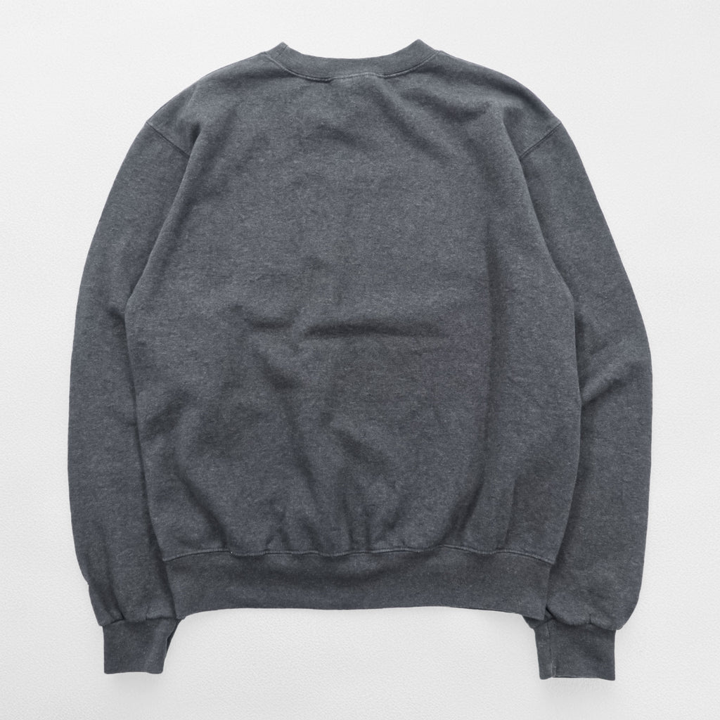 Champion カレッジ スウェット トレーナー S グレー 裏起毛 コットン ECO FLEECE POINT PARK