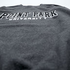 Champion カレッジ スウェット トレーナー S グレー 裏起毛 コットン ECO FLEECE POINT PARK