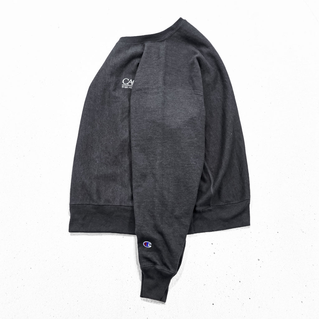 Champion Reverse Weave Sweatshirt, Size XL, Gray, Brushed Lining, Embroidered, One-Point Design