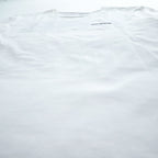 Patagonia P-6ロゴ オーガニックコットン Tシャツ S ホワイト バックプリント クルー REGULAR FIT 38587