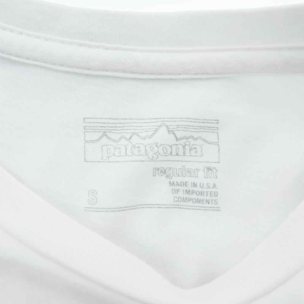 Patagonia USA製 Tシャツ S REGULAR FIT ホワイト 台湾限定デザイン TAIWAN Fitzroy Paddle Van 39326