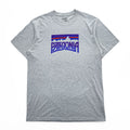 Patagonia Tシャツ L グレー プリント Fitz Roy Frostbite COTTON / POLY RESPONSIBILI TEE REGULAR FIT 39115