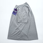 Patagonia Tシャツ L グレー プリント Fitz Roy Frostbite COTTON / POLY RESPONSIBILI TEE REGULAR FIT 39115
