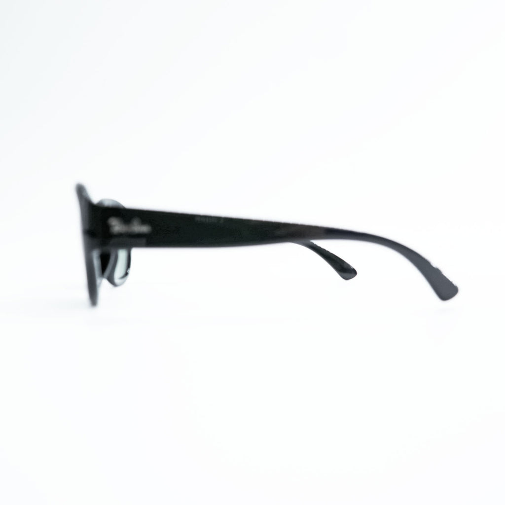 Ray-Ban サングラス バタフライ ブラック HAVANA オーバル RB4198 廃番 601 55_18 3N