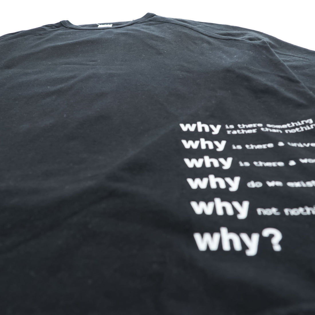blackmeans 長袖 ロングスリーブ Tシャツ ロンT XL ブラック バックプリント Why?