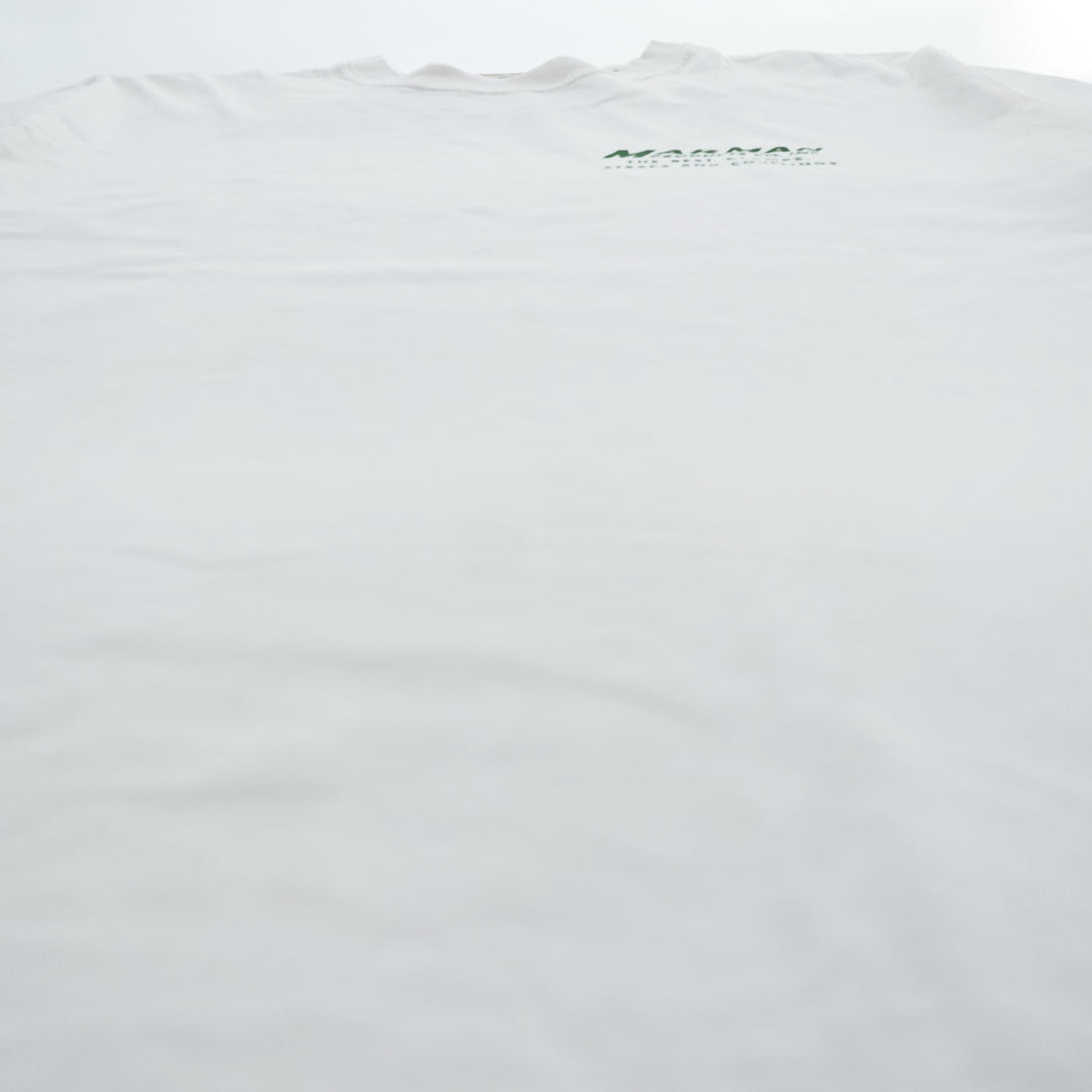 BUZZ RICKSON'S USA製 Tシャツ L ホワイト バックプリント MARMAN PRODUCTS CO