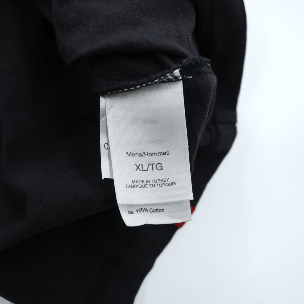 THE NORTH FACE ダブリンストア限定 Tシャツ XL ブラック DUBLIN STORE AFME トルコ製
