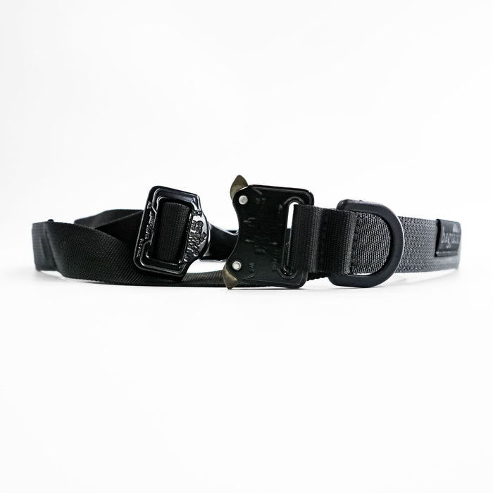 bagjack コブラバックルベルト cobra belt ブラック MUSEUM ARK別注