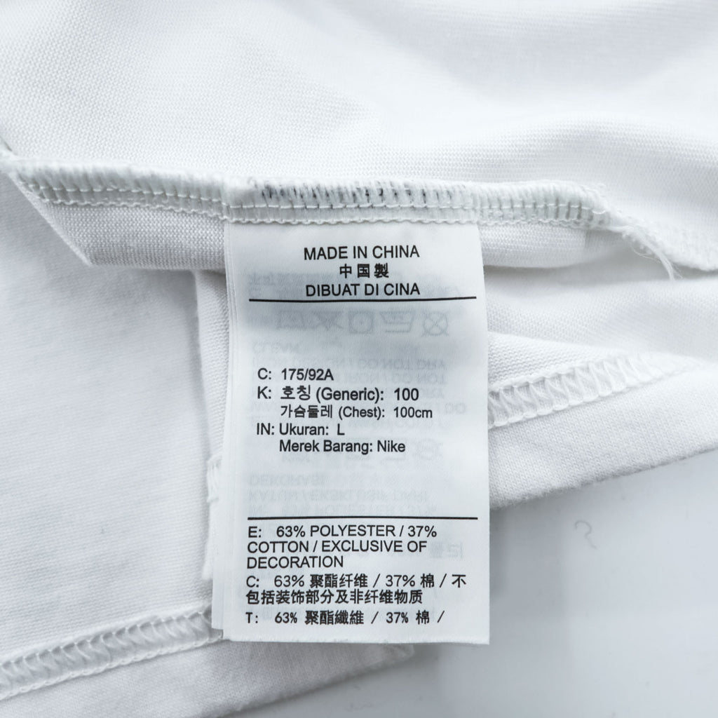 NIKE ACG 長袖 ロングスリーブ Tシャツ ロンT L ホワイト バックプリント フィッシング FQ3728-121