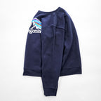 Patagonia P-6 Logo Uprisal スウェット トレーナー M ネイビー 裏起毛 プリント 39626