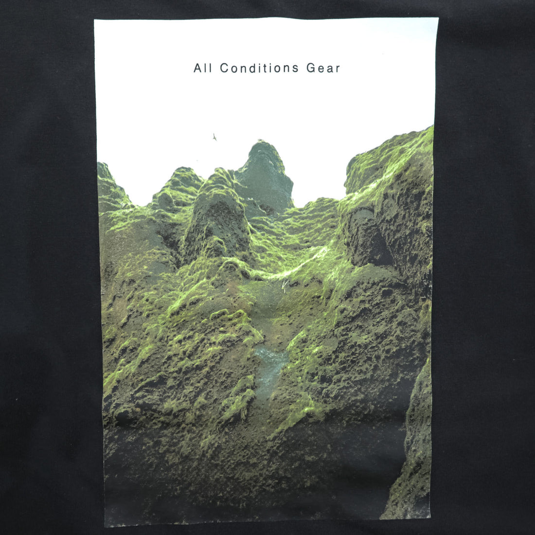 NIKE ACG 長袖 ロングスリーブ Tシャツ ロンT XL ブラック バックプリント 袖プリント アイスランド イン DJ5803-010