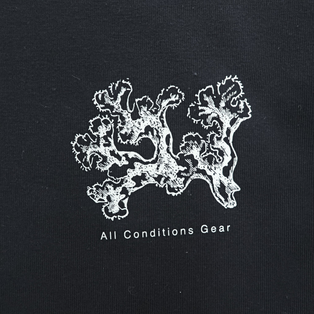NIKE ACG 長袖 ロングスリーブ Tシャツ ロンT XL ブラック バックプリント 袖プリント アイスランド イン DJ5803-010