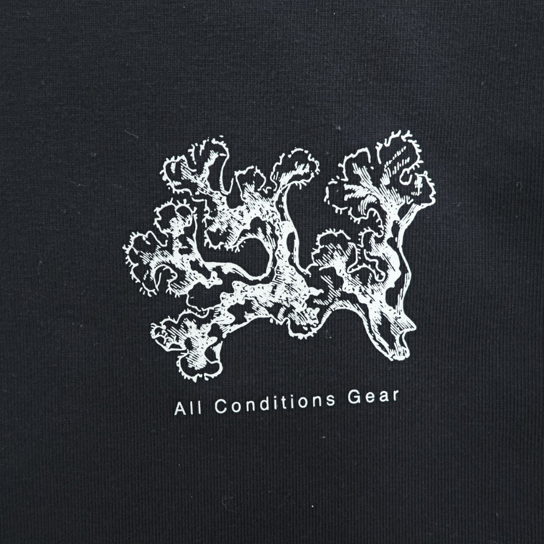 NIKE ACG 長袖 ロングスリーブ Tシャツ ロンT XL ブラック バックプリント 袖プリント アイスランド イン DJ5803-010