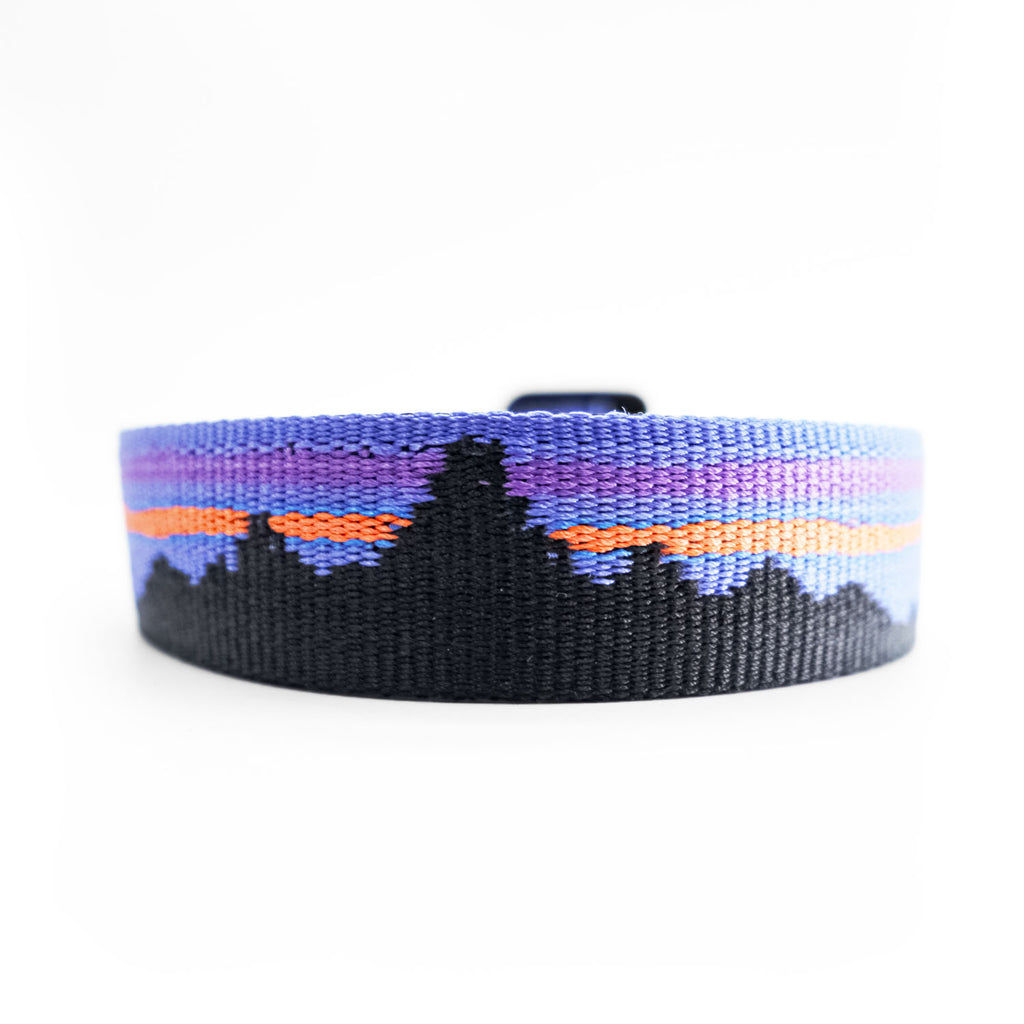 Patagonia フリクションベルト ブラック ブルー アルミニウム バックル
