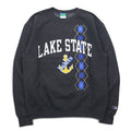 Champion College Print Sweatshirt, Medium, Grey, Fleece Lining, LAKE STATE Anchor Arch Logo, Made in Honduras