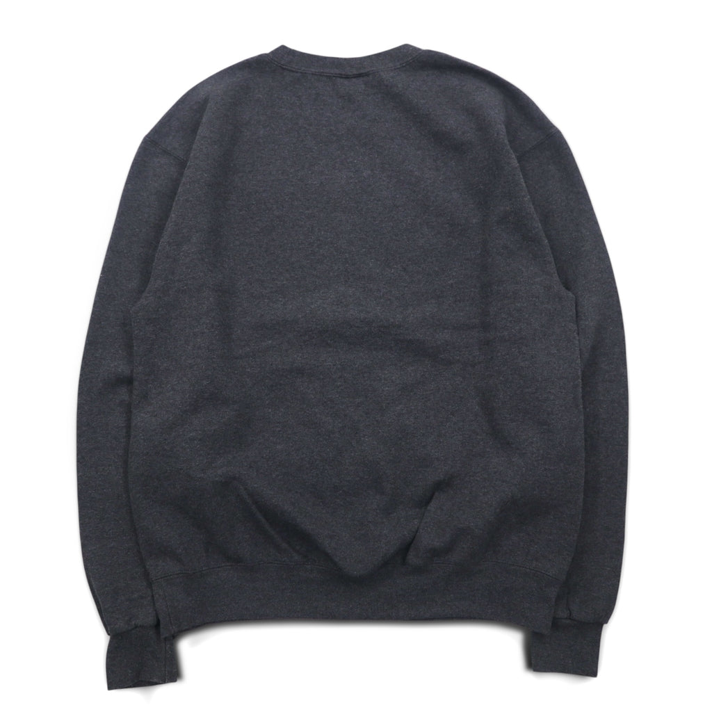 Champion College Print Sweatshirt, Medium, Grey, Fleece Lining, LAKE STATE Anchor Arch Logo, Made in Honduras