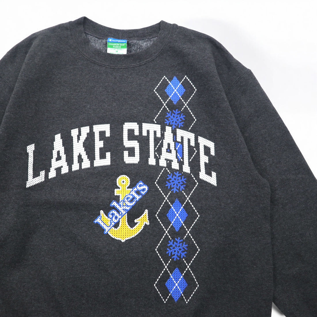 Champion College Print Sweatshirt, Medium, Grey, Fleece Lining, LAKE STATE Anchor Arch Logo, Made in Honduras
