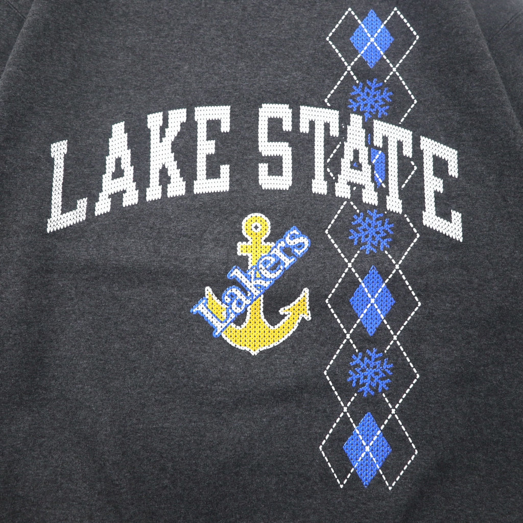 Champion College Print Sweatshirt, Medium, Grey, Fleece Lining, LAKE STATE Anchor Arch Logo, Made in Honduras