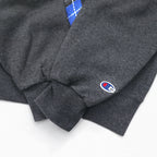 Champion College Print Sweatshirt, Medium, Grey, Fleece Lining, LAKE STATE Anchor Arch Logo, Made in Honduras