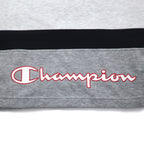 Champion 90s V-neck raglan sweatshirt, 4XL, grey, script logo, big size