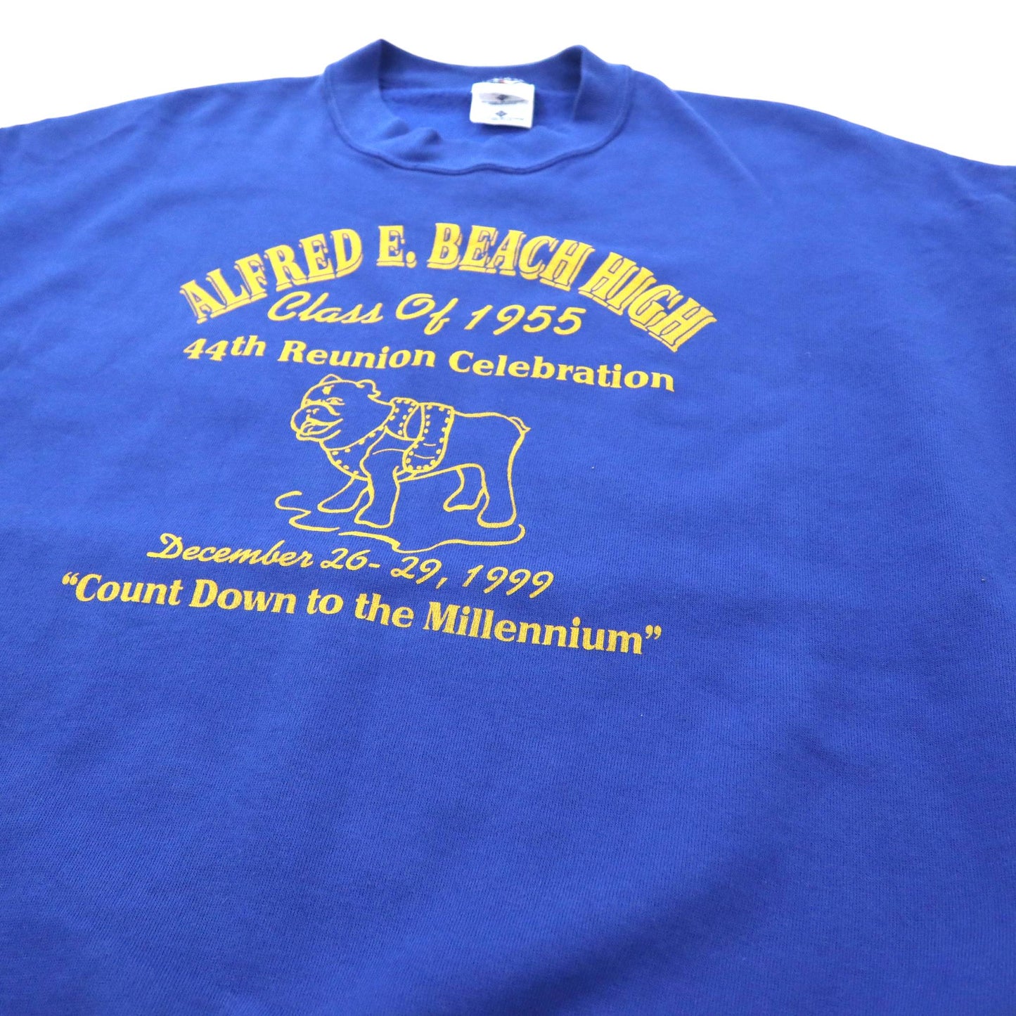 Made in USA JERZEES Big Size College Print Sweatshirt 2X Blue Cotton Brushed Back ALFRED E. BEACH HIGH 90's