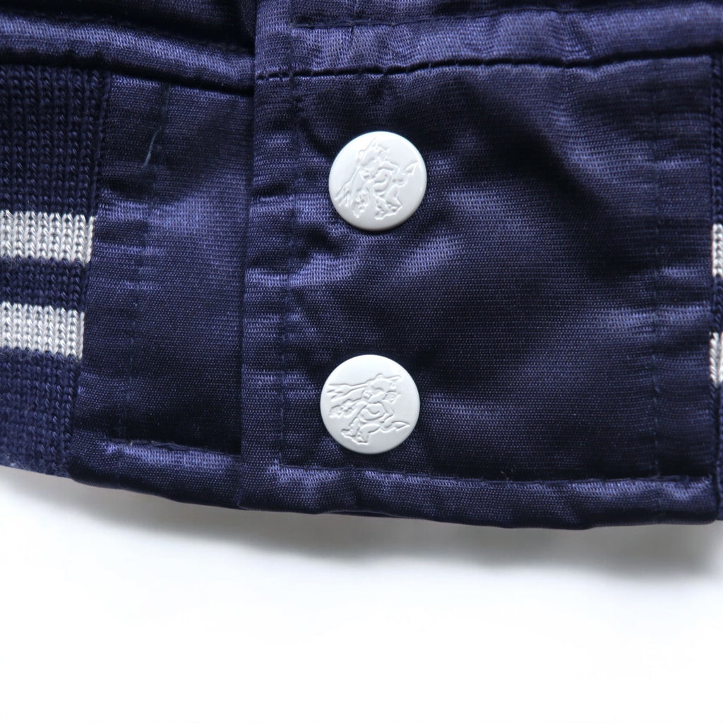 Ted Company Nylon Stadium Jacket, S, Navy, Double-Sided Print, Quilted Liner, NARIMASU DRAGONS