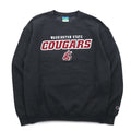 Champion ECO FLEECE College Print Sweatshirt, M, Gray, Fleece Lining, NCAA WASHINGTON STATE COUGARS, Made in Honduras