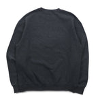 Champion ECO FLEECE College Print Sweatshirt, M, Gray, Fleece Lining, NCAA WASHINGTON STATE COUGARS, Made in Honduras
