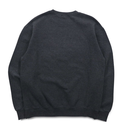 Champion ECO FLEECE カレッジプリント スウェット M グレー 裏起毛 NCAA WASHINGTON STATE COUGARS ホンジュラス製