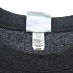Champion ECO FLEECE College Print Sweatshirt, M, Gray, Fleece Lining, NCAA WASHINGTON STATE COUGARS, Made in Honduras