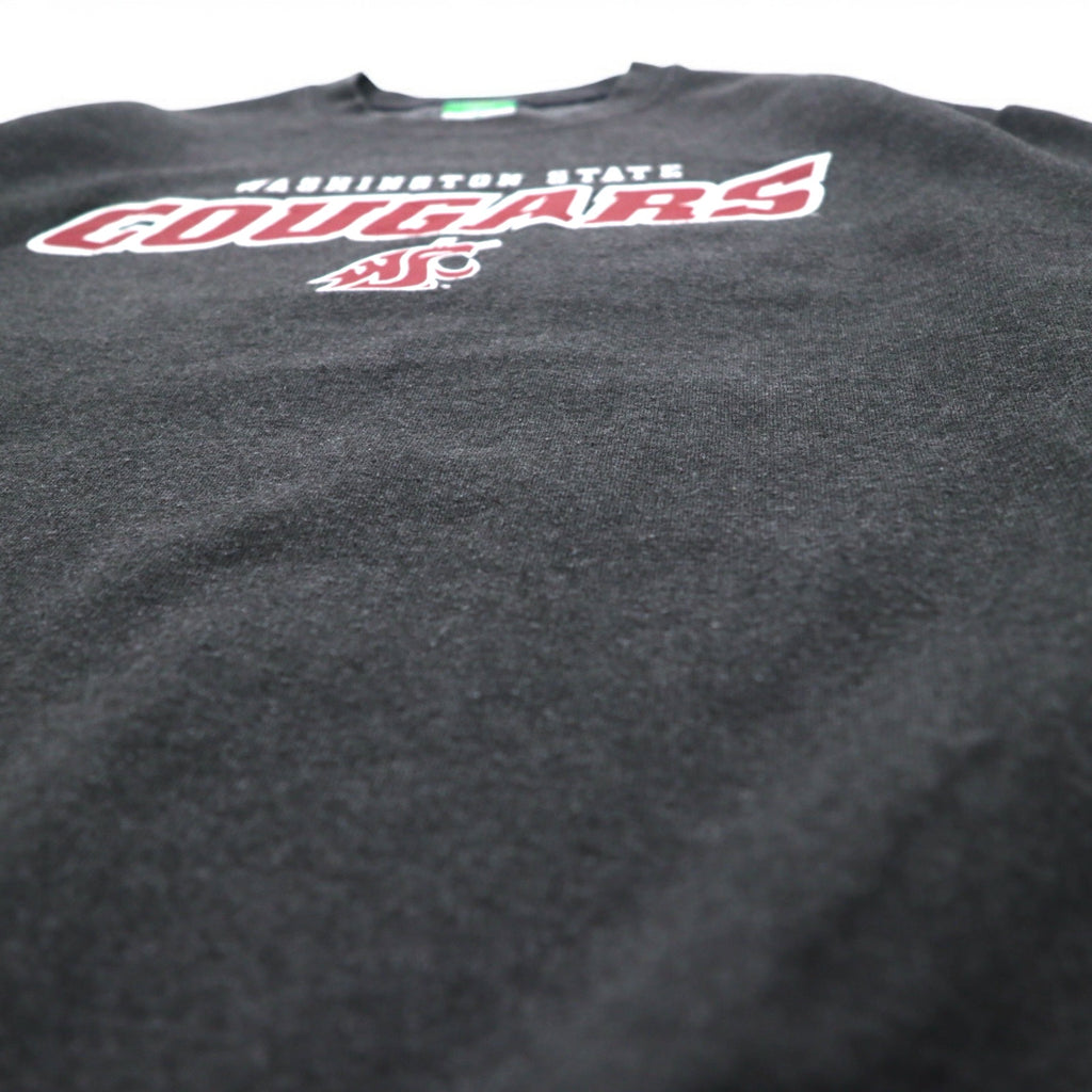 Champion ECO FLEECE College Print Sweatshirt, M, Gray, Fleece Lining, NCAA WASHINGTON STATE COUGARS, Made in Honduras