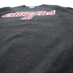 Champion ECO FLEECE College Print Sweatshirt, M, Gray, Fleece Lining, NCAA WASHINGTON STATE COUGARS, Made in Honduras