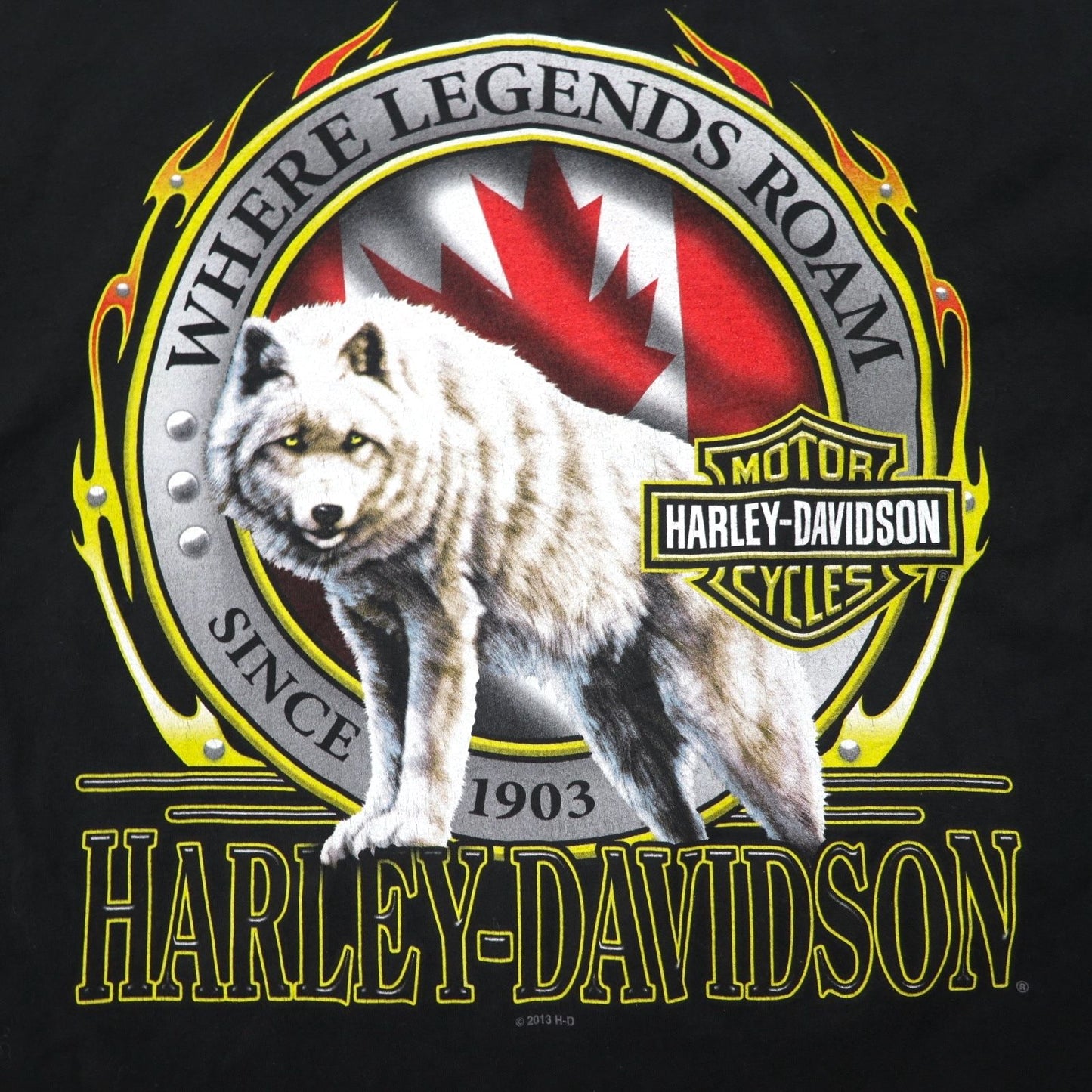 HARLEY DAVIDSON Double-sided Print T-Shirt 2XL Black Cotton Wolf Animal Big Size