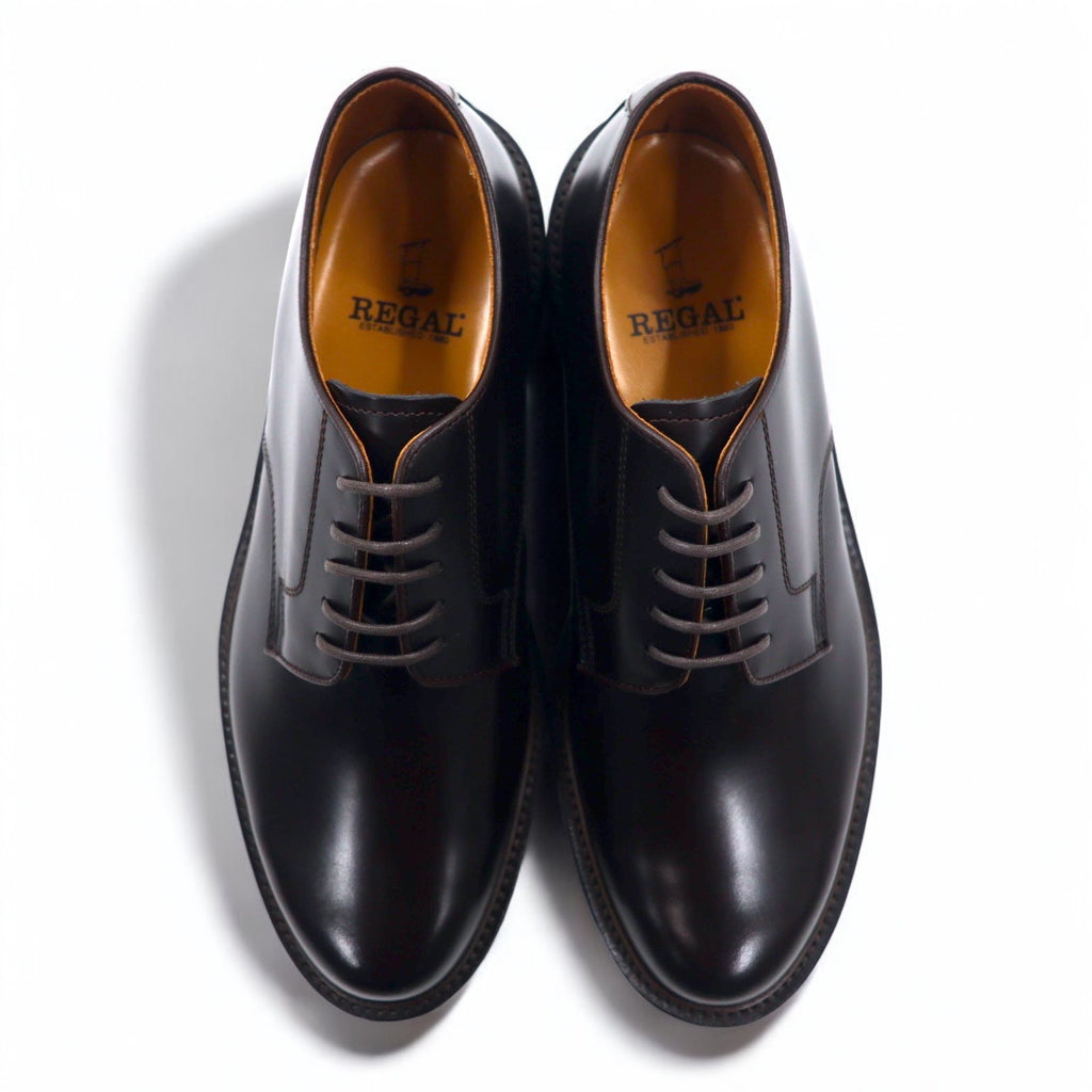 REGAL Plain Toe Dress Shoes 25cm Brown Leather Suitable for Snowy Roads COROBANSHO E6 H4035A Y483 Made in Japan