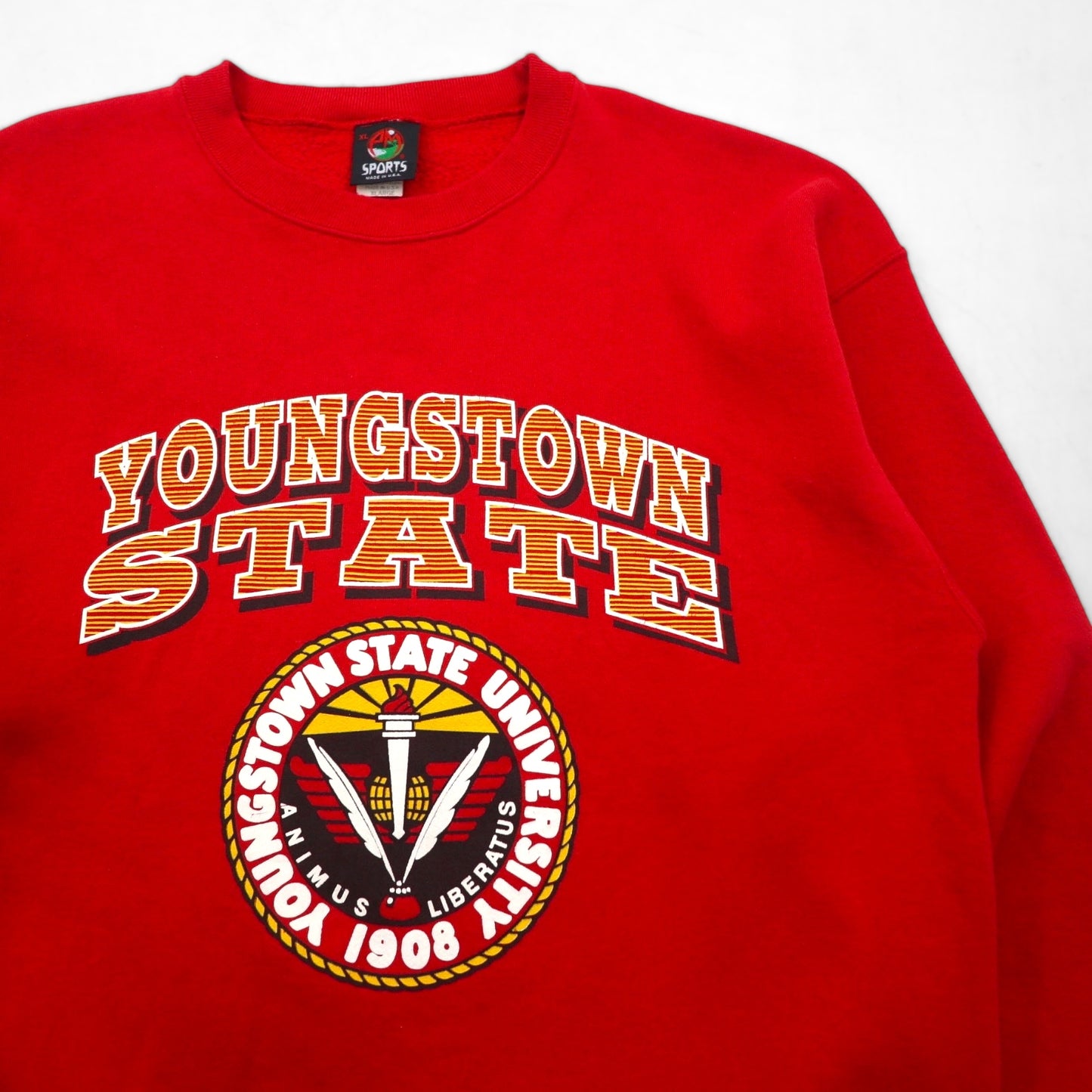 PM SPORTS 90s USA Vintage Sweatshirt, Size XL, Red, Made in the 90s, Youngstown State Ubersity