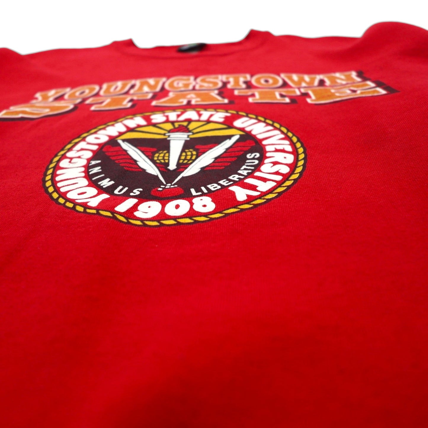 PM SPORTS 90s USA Vintage Sweatshirt, Size XL, Red, Made in the 90s, Youngstown State Ubersity